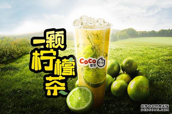 coco奶茶产品图1